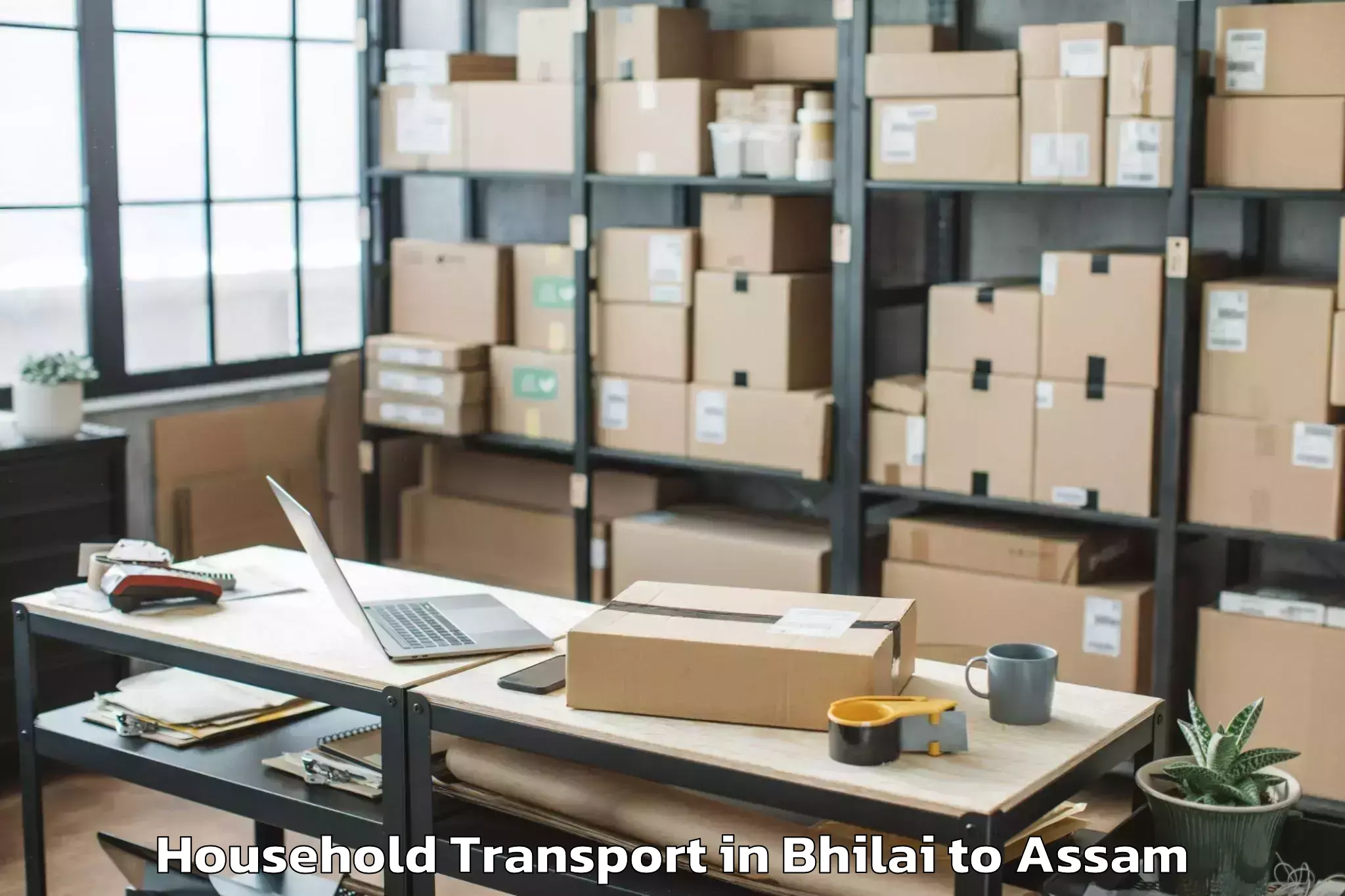 Hassle-Free Bhilai to Chaboti Household Transport